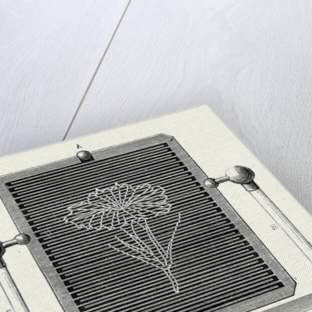 Magic Table by Anonymous