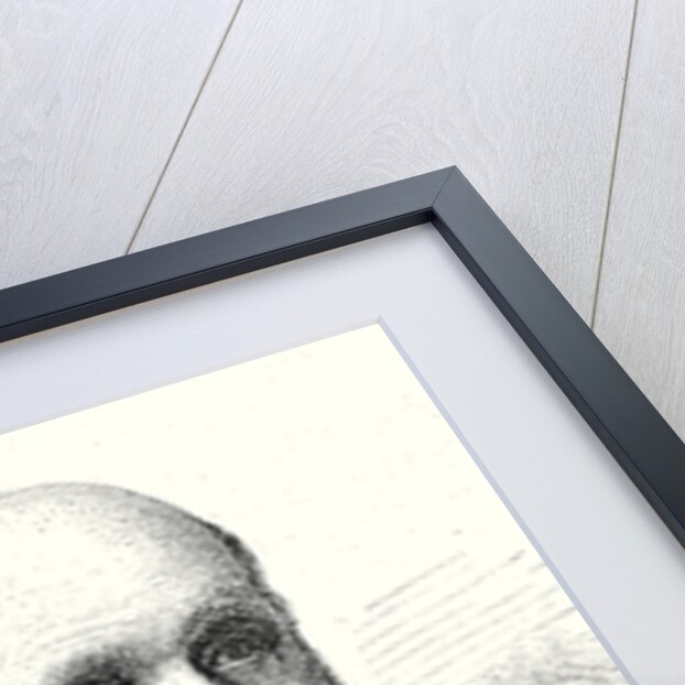 Guillaume-Benjamin Duchenne (De Boulogne) by Anonymous