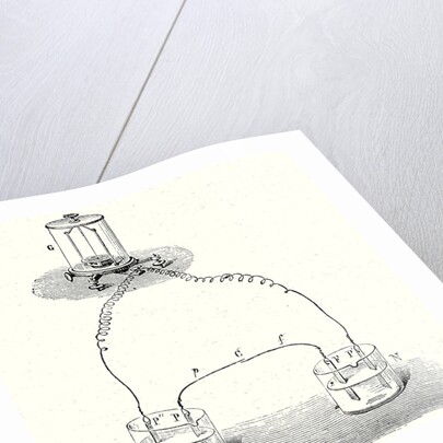 Faraday's Experiment Showing that the Contact of Two Metals Do Not Develop an Electric Current by Anonymous