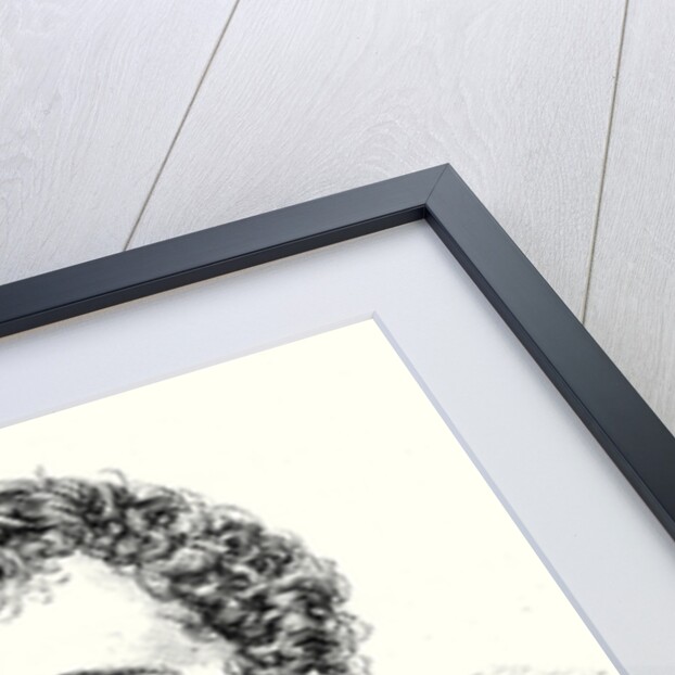 Michel Faraday by Anonymous