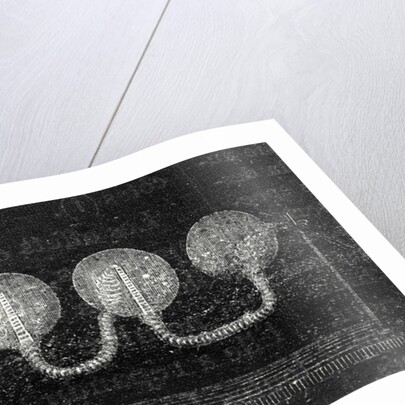 Geissler Tubes by Anonymous