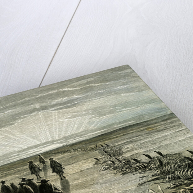 Pampa 1869 Peru by Anonymous