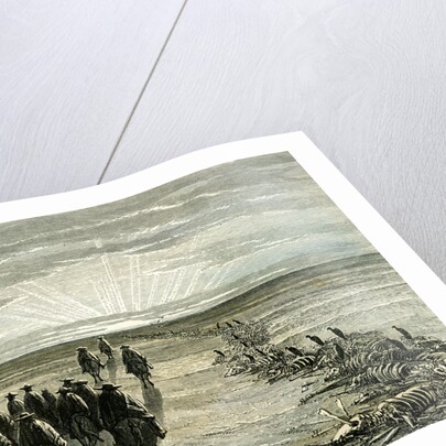 Pampa 1869 Peru by Anonymous