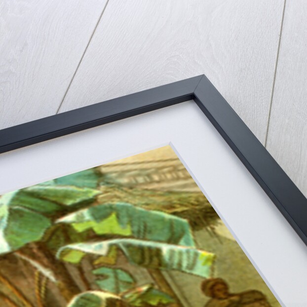 Cafe of Hammah Algiers 1885 by Anonymous