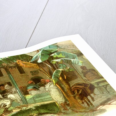 Cafe of Hammah Algiers 1885 by Anonymous