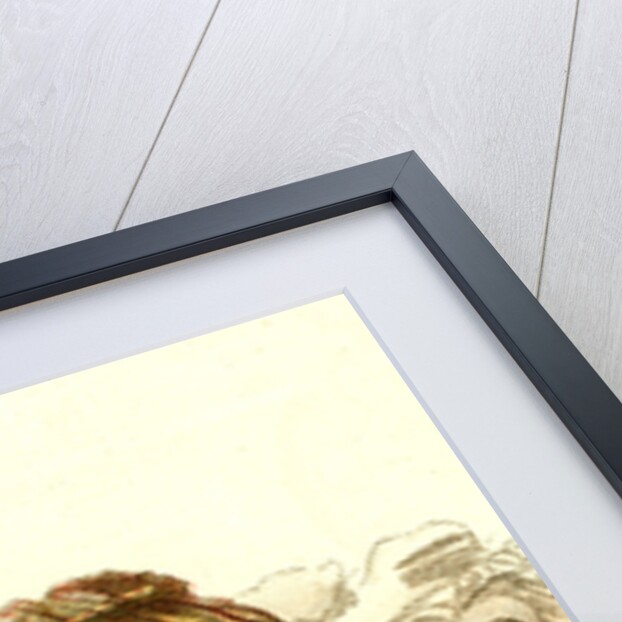 Camel 1885 Algeria by Anonymous