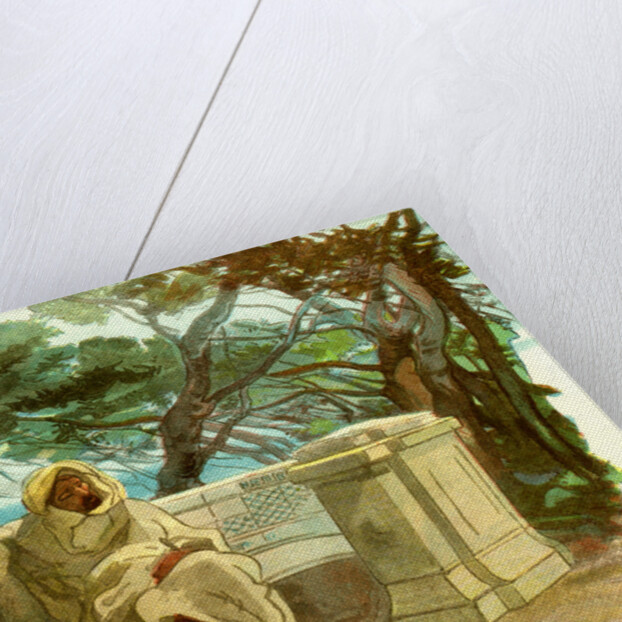 View in the Jardin Marengo Algiers 1885 by Anonymous