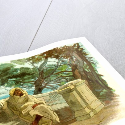 View in the Jardin Marengo Algiers 1885 by Anonymous