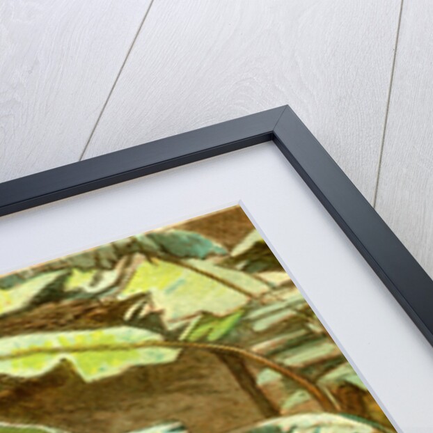 A Quiet Rubber Algiers 1885 by Anonymous