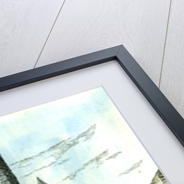 Aberdeen UK Guest Row No. 45 1885 by Anonymous