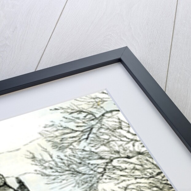 Aberdeen Old Machar Cathedral 1885 UK by Anonymous