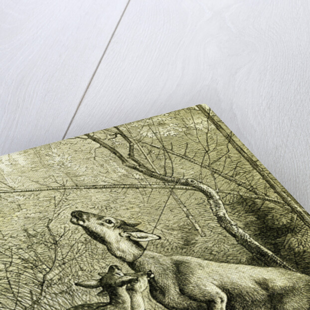 Hunt Austria 1887 by Anonymous