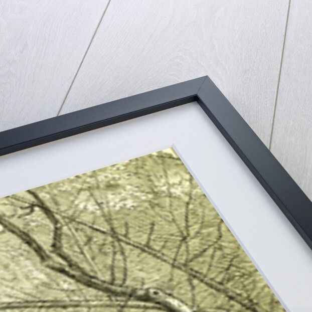 Hunt Austria 1887 by Anonymous