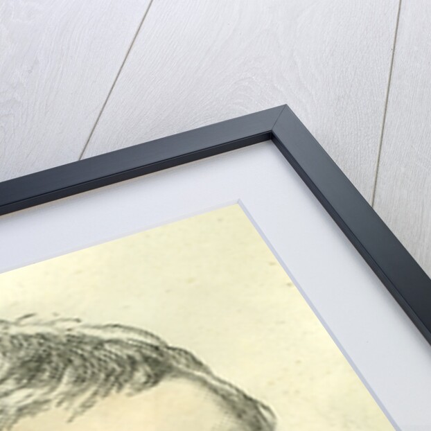 Sir George Biddell Airey Astronomer Royal 1892 by Anonymous