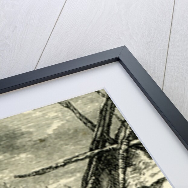 Pacific Coast and the Yosemite Valley 1891 USA by Anonymous