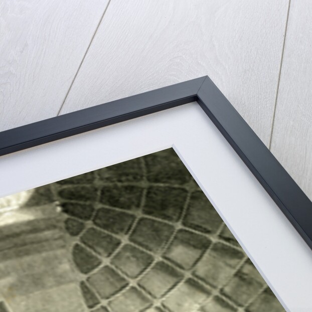 California the Largest Telescope in the World 1891 USA by Anonymous