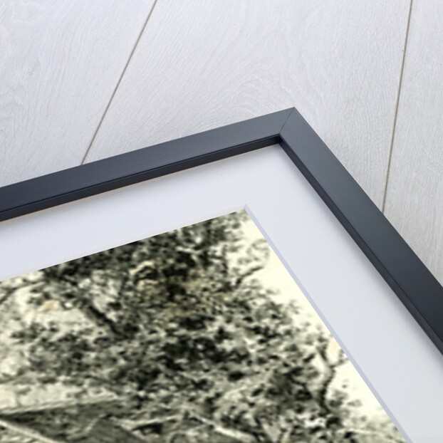 The Stoneman House Yosemite Valley 1891 USA by Anonymous