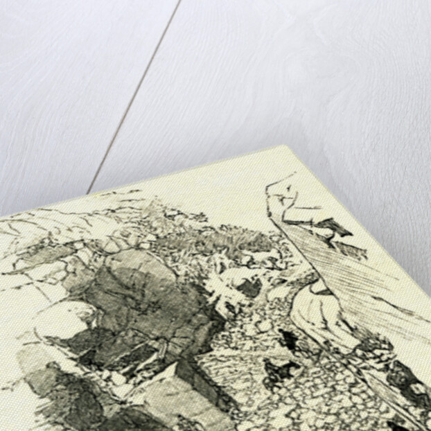 A Yosemite Trail 1891 USA by Anonymous