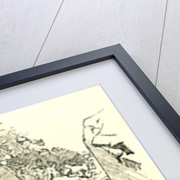 A Yosemite Trail 1891 USA by Anonymous