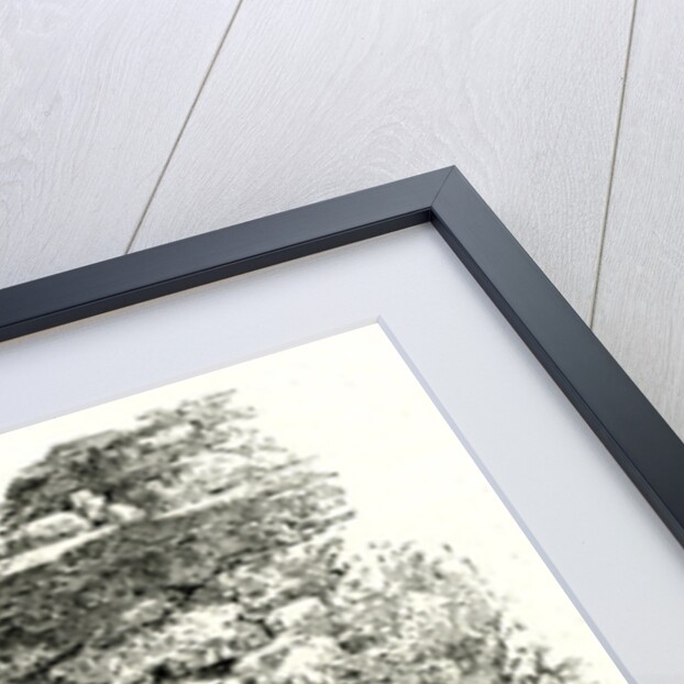 Yosemite Valley Upon Glacier Point USA 1891 by Anonymous