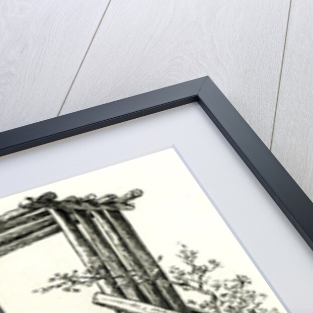 A Salmon Wheel on the Columbia River 1891 USA by Anonymous