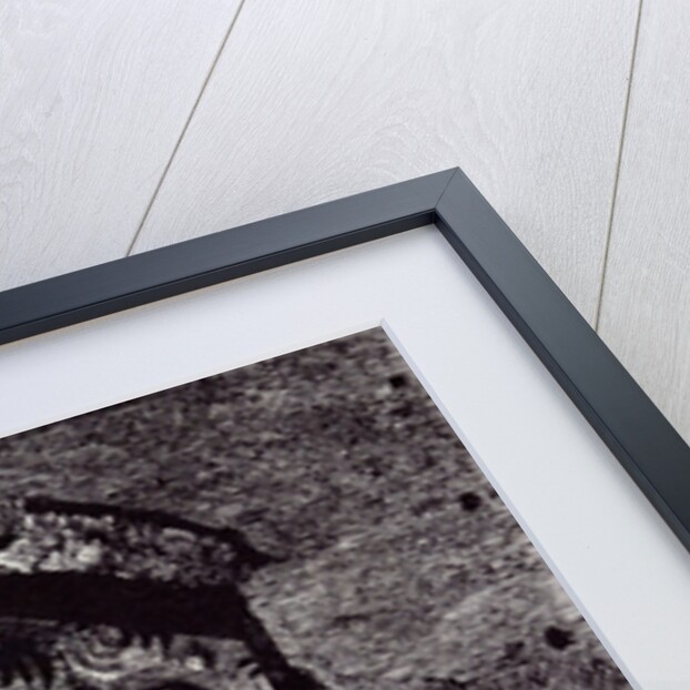 Rome Italy 1875 Interior of the Basilica of Constantine. by Anonymous