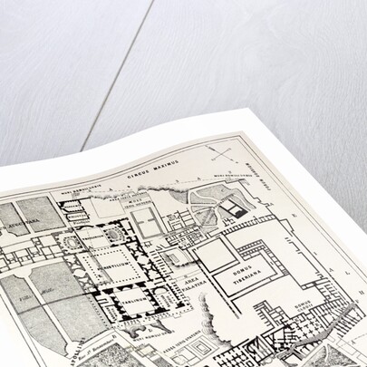 Rome Italy 1875 Plan of the Excavations on the Palatine by Anonymous