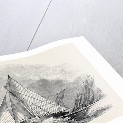 Royal Thames Yacht Club, Match for the Belvidere Cup; Belvidere, Blue Belle, Ino, Champion, Mystery, Antagonist by Anonymous
