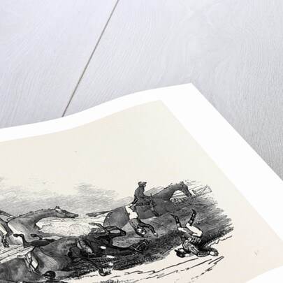 The Harrow Steeple Chase, the Fall at the Brook by Anonymous