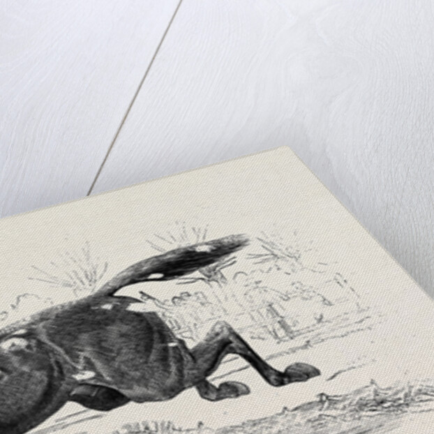The Harrow Steeple Chase, the Last Brook by Anonymous