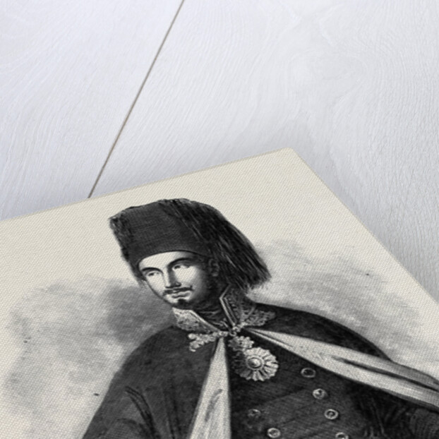 The Sultan 'Abdu-L-Mejid I. by Anonymous