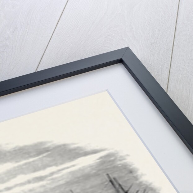 The Golden Horn, Constantinople by Anonymous