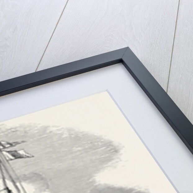 The Azorian, Orange Schooner by Anonymous