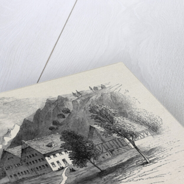 Institution for Cretins at Interlacken, Switzerland by Anonymous