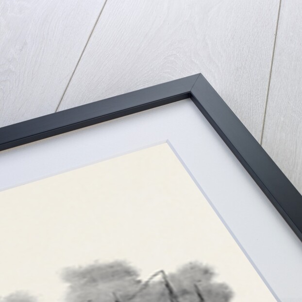 Captain Austin's Expedition, Sent in Search of Sir John Franklin by Anonymous