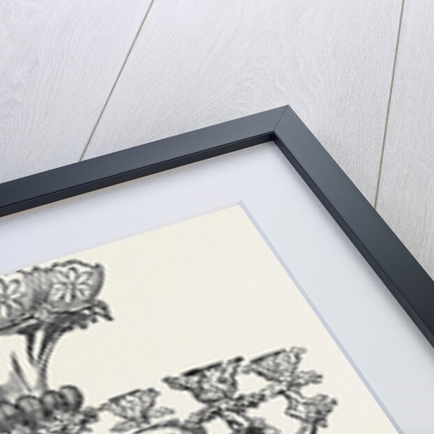 Plate Presented to Major General Wemyss, C.B. by Anonymous