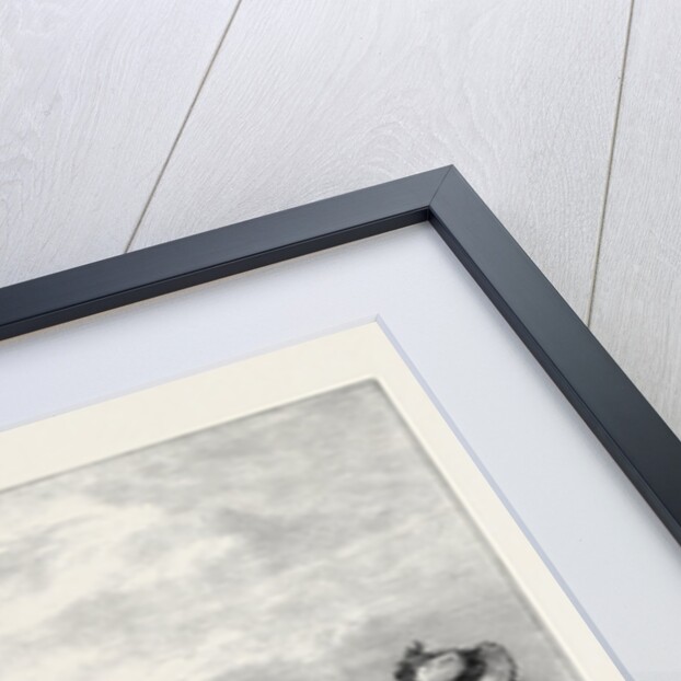 Receiving Visitors on Easter Monday at the Zoological Society's Gardens London 1873 by Anonymous