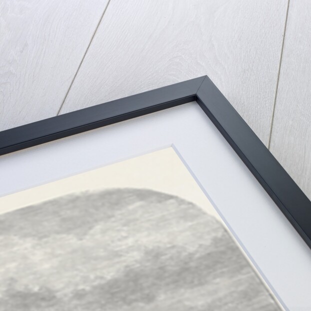 H.M.S. Immortalite Sinking the Derelict Zuleika 1873 by Anonymous