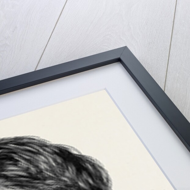 The Late Mr. R.W. Thomson C.E. of Edinburgh 1873 by Anonymous