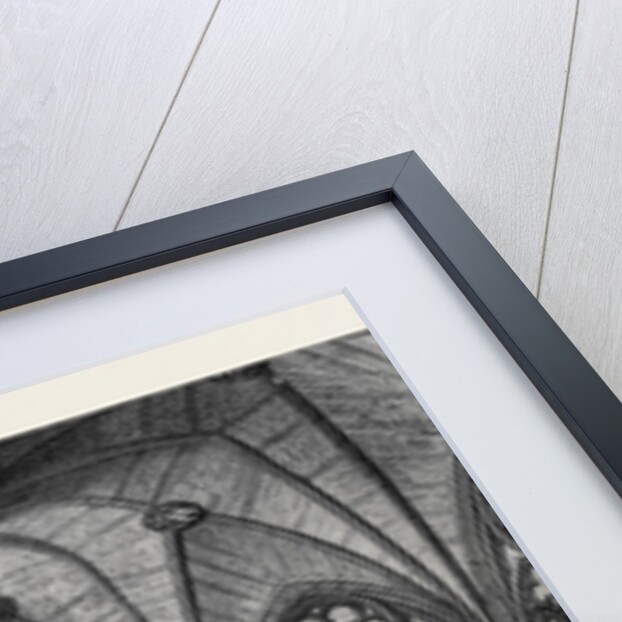 Chapter-House of Westminster Abbey Lately Restored 1873 by Anonymous