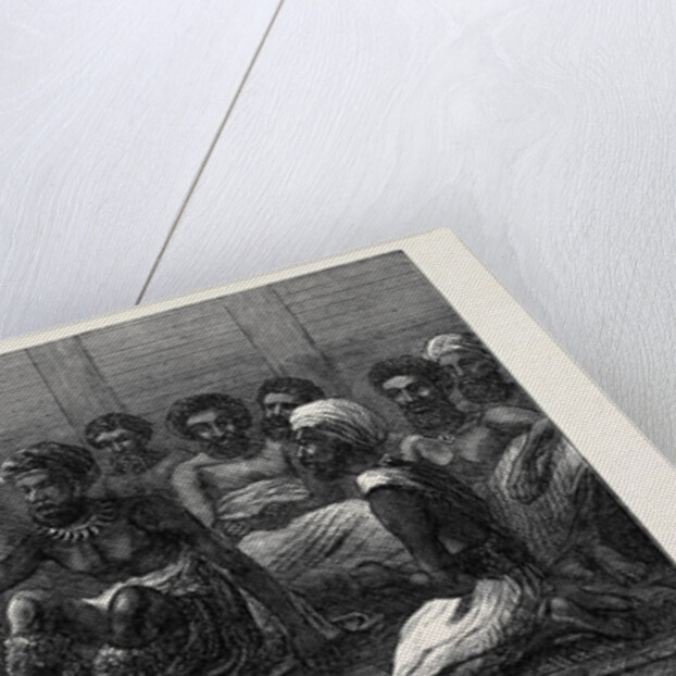 The Fiji Islands: Fiji House of Lords 1873 by Anonymous