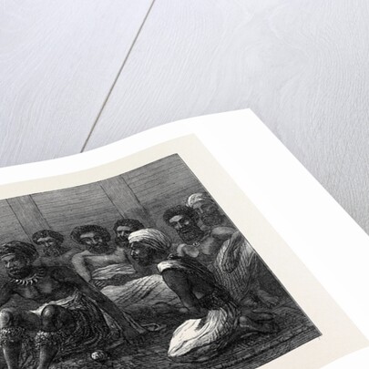 The Fiji Islands: Fiji House of Lords 1873 by Anonymous