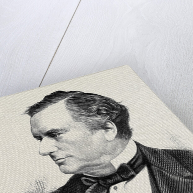 Sir J. Cordy Burrows Late Mayor of Brighton 1873 by Anonymous