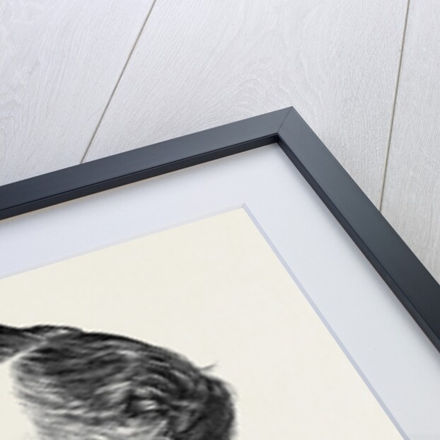 Sir J. Cordy Burrows Late Mayor of Brighton 1873 by Anonymous