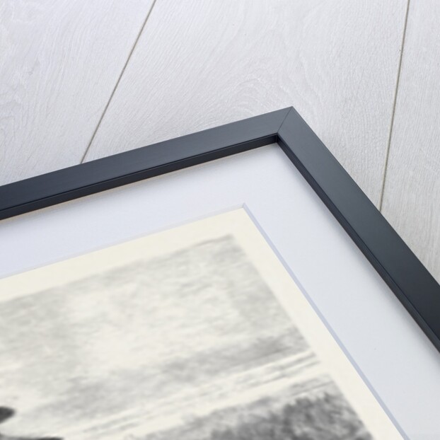 North Altar of the Temple of Heaven Pekin China 1873 by Anonymous