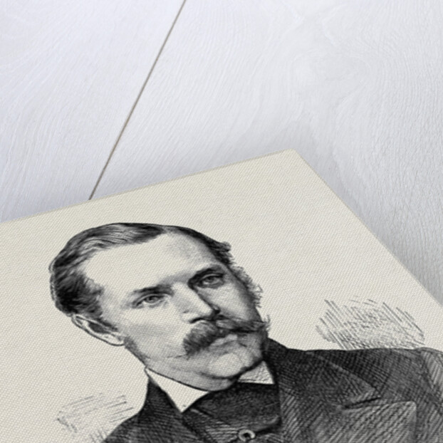 Movers of the Address in Both Houses of Parliament: The Earl of Clarendon 1873 by Anonymous