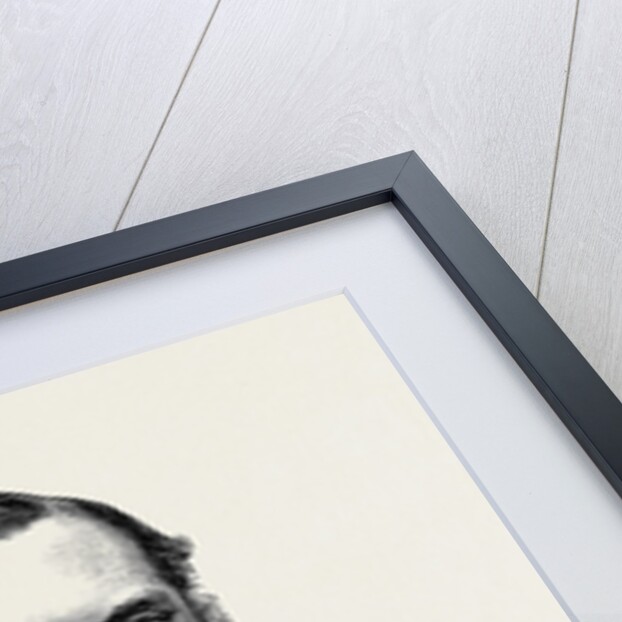 Movers of the Address in Both Houses of Parliament: The Earl of Clarendon 1873 by Anonymous