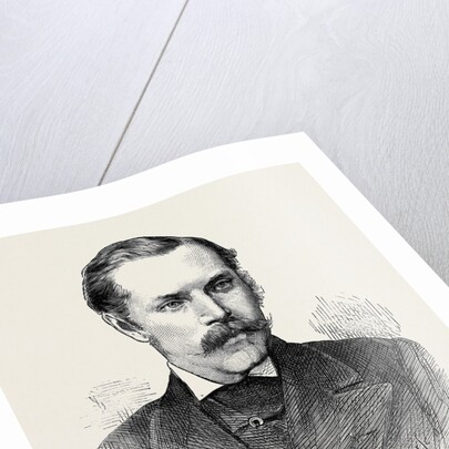 Movers of the Address in Both Houses of Parliament: The Earl of Clarendon 1873 by Anonymous