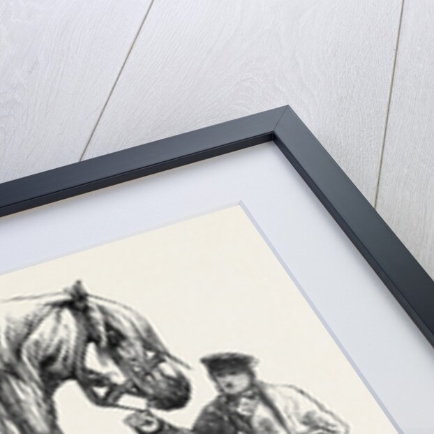 Meeting of the Royal Agricultural Society at Salisbury: No. 281. Horse for Agricultural Purposes by Anonymous
