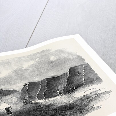 Guano Quarry in One of the Chincha Islands by Anonymous